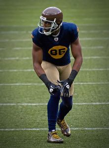 442px-Greg_Jennings_2010