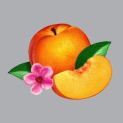 Phoenix_-_Bankrupt!_cover